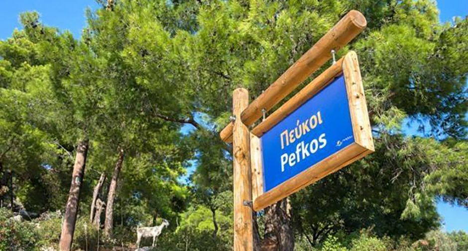 ΠΕΦΚΟΙ