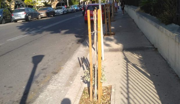 Δολιοφθορά δέντρων