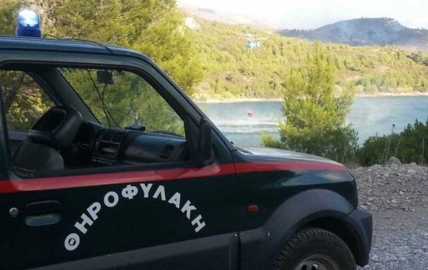 θηροφυλακή