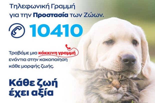 bd3d6cddb656536bfc2f8a1dfdccb952_L (1)