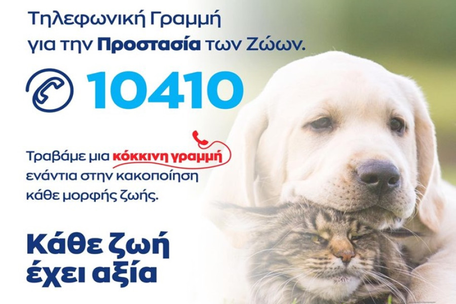 bd3d6cddb656536bfc2f8a1dfdccb952_L (1)
