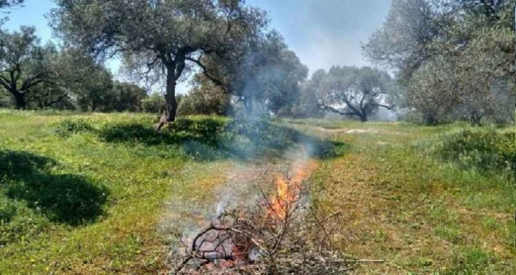 καύση κλαδιών