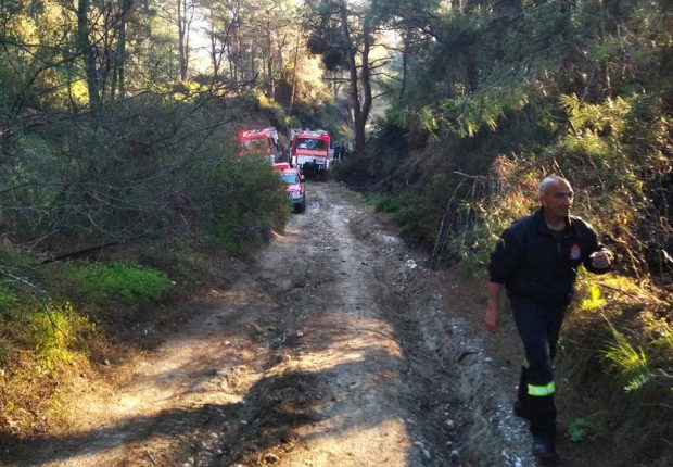 ΦΩΤΙΑ ΠΕΤΑΛΟΥΔΕΣ 15/2