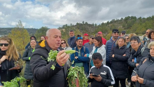 Τα βρώσιμα της γης
