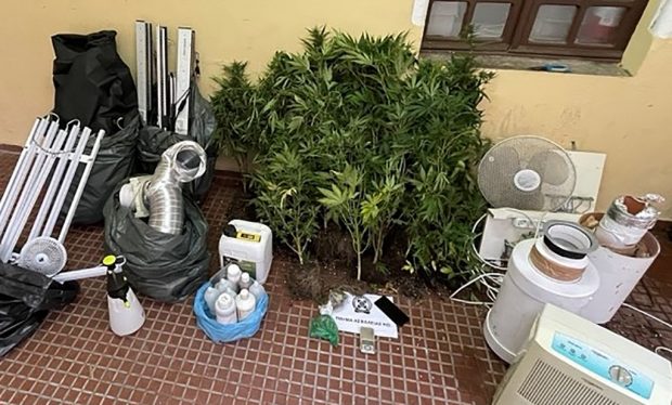 ΚΆΝΝΑΒΗ ΚΩΣ 6/5