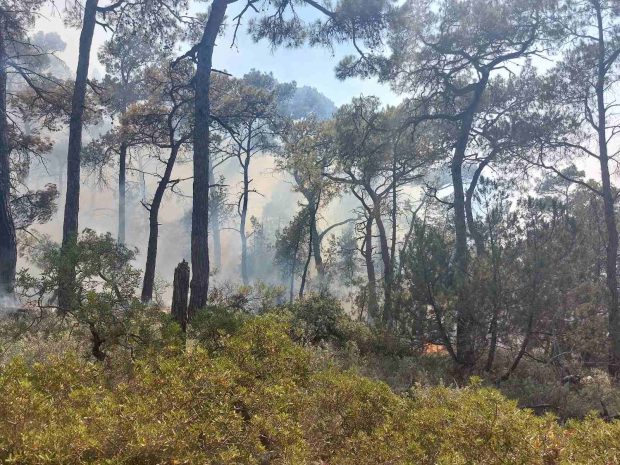 Φωτιά στα Σιάννα – κίνδυνος για το δάσος της Κυμισάλας