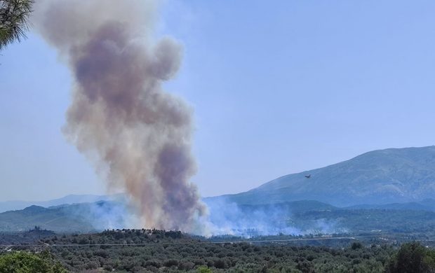 Συνεχίζεται η μάχη με τις αναζωπυρώσεις – Ξανά κοντά στο χωριό Απόλλωνα οι φλόγες
