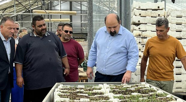 Περιφερειακό Φυτωριο Τριαντόπουλος
