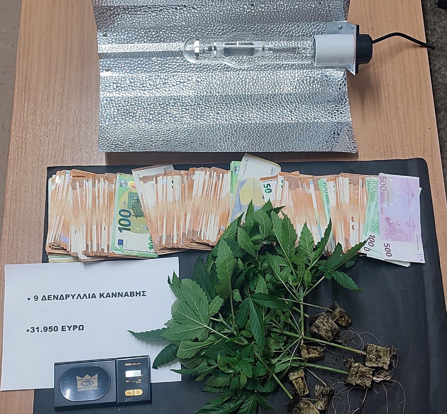 ΚΑΝΝΑΒΗ ΡΟΔΟΣ 3/10