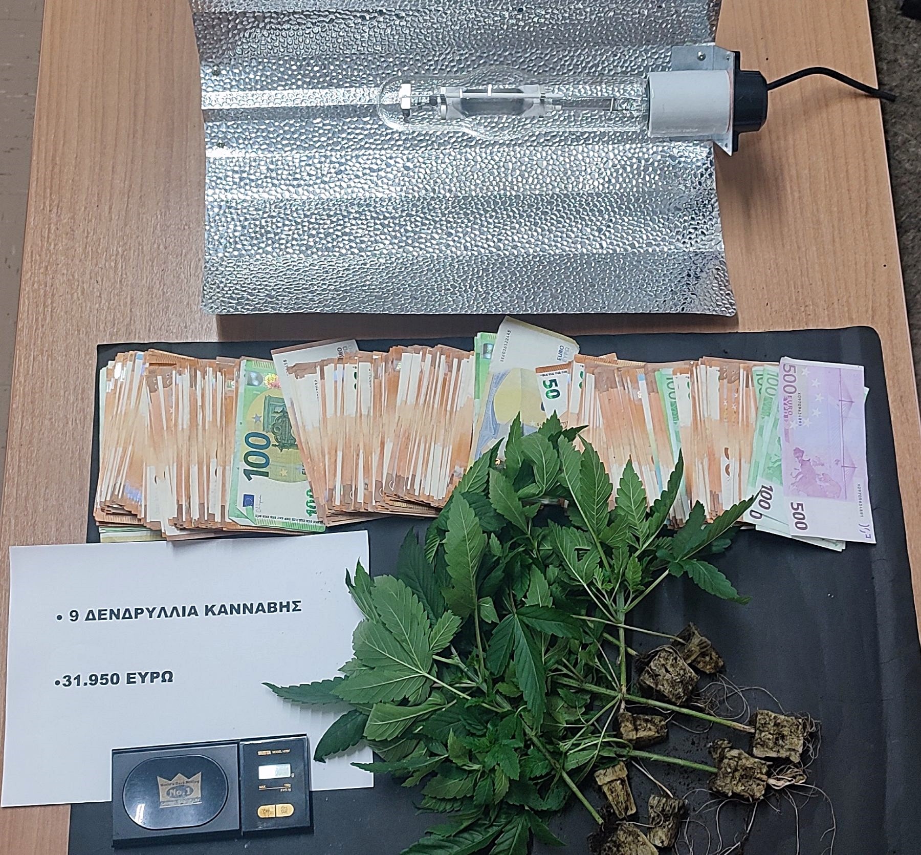 ΚΑΝΝΑΒΗ ΡΟΔΟΣ 3/10