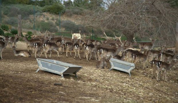 Δεν την προλάβαμε