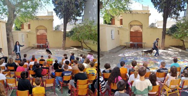 Δράσεις και δραστηριότητες για την Πανελλήνια Σχολική Ημέρα Φιλοζωίας στο 14ο Δ.Σ. Ρόδου- Αστική Σχολή