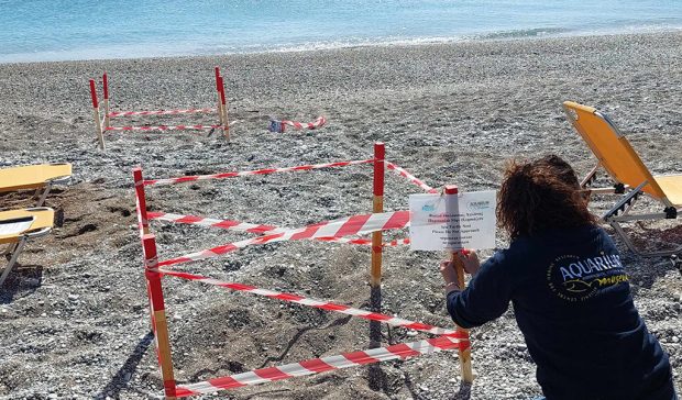 Δύο νέες φωλιές από θαλάσσιες χελώνες στη παραλία του Ενυδρείου σήμερα!