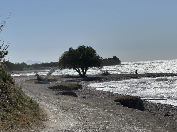 ΔΙΑΒΡΩΣΗ ΑΚΤΩΝ