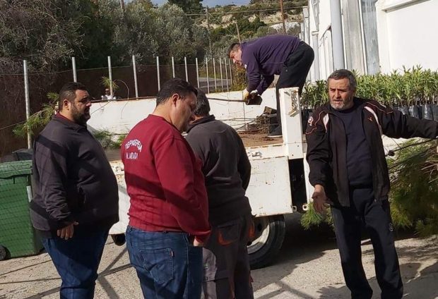 Έντονη κινητικότητα του Περιφερειακού φυτωρίου