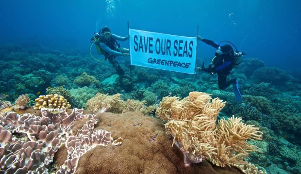 thumbnail_©Steve-De-Neef_Greenpeace