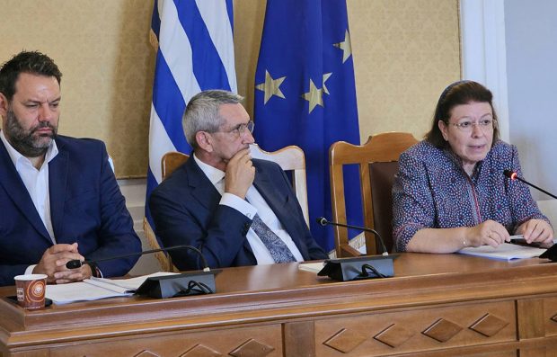 ΜΕΝΔΩΝΗ ΡΟΔΟΣ