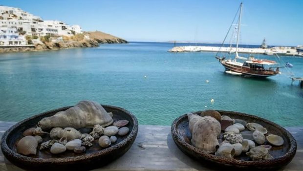 ΝΗΣΙΑ