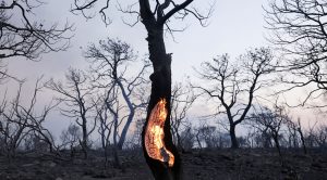 ΚΛΙΜΑΤΙΚΗ ΑΛΛΑΓΗ