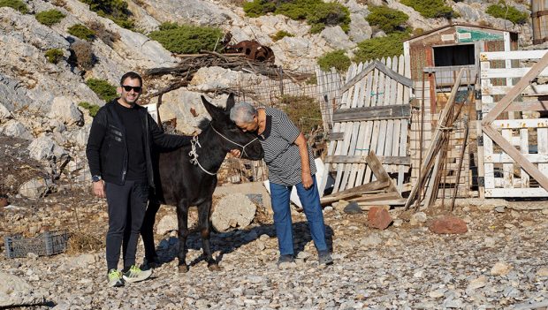 ΚΥΡΑ ΡΗΝΙΩ ΚΙΝΑΡΟΣ