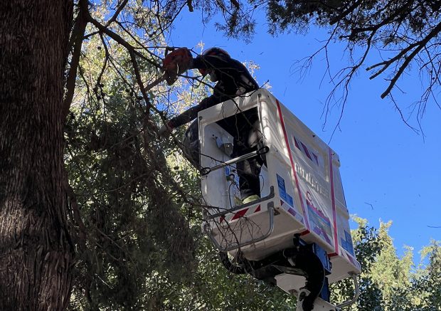 ΚΛΑΔΕΜΑΤΑ