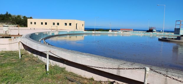 ΒΙΟΛΟΓΙΚΟΣ ΒΟΔΙ ΒΙΟΚΑ