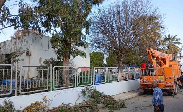 ΚΛΑΔΕΜΑΤΑ