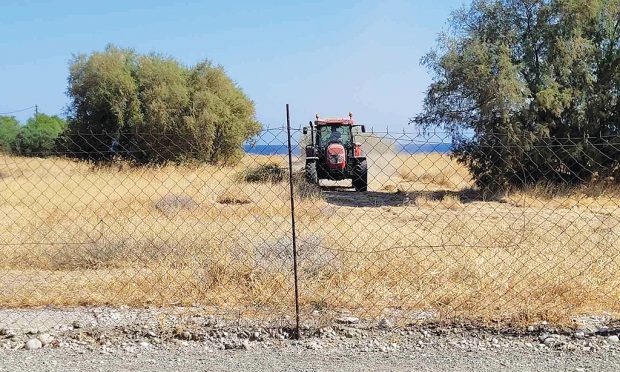 Ψιμόριφου