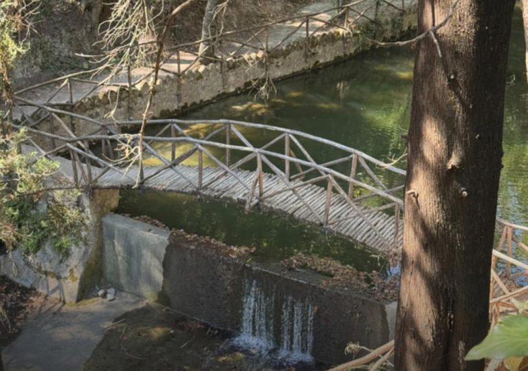 ΡΟΔΙΝΙ