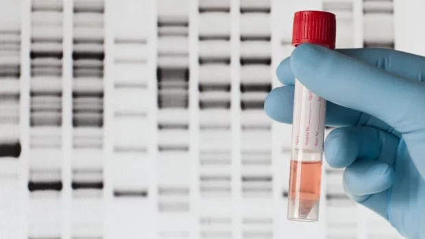 DNA