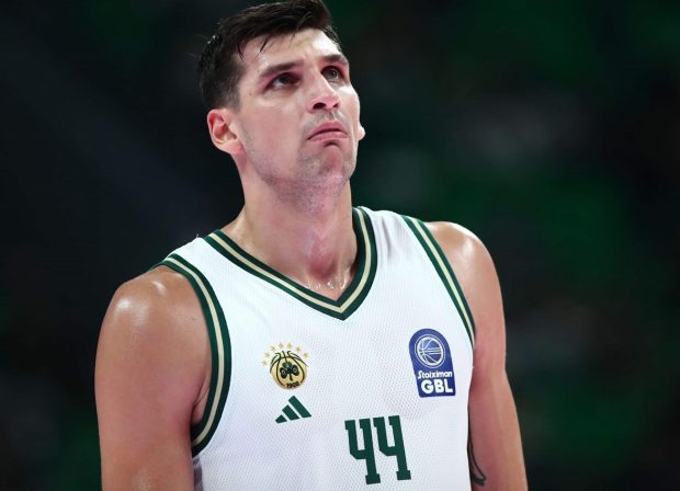 ΝΤΙΝΟΣ ΜΗΤΟΓΛΟΥ ΜΠΑΣΚΕΤ