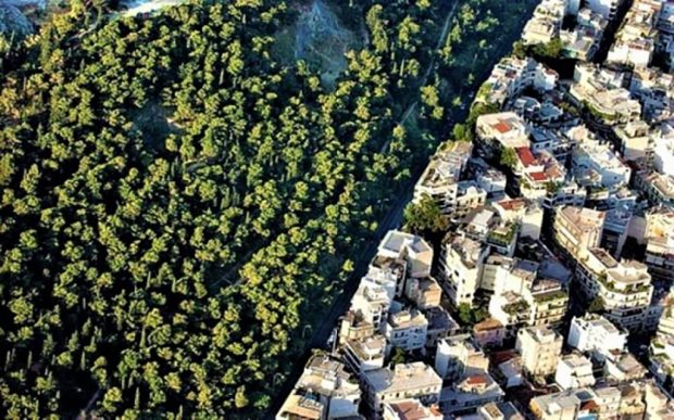 ΔΑΣΙΚΟΙ ΧΑΡΤΕΣ