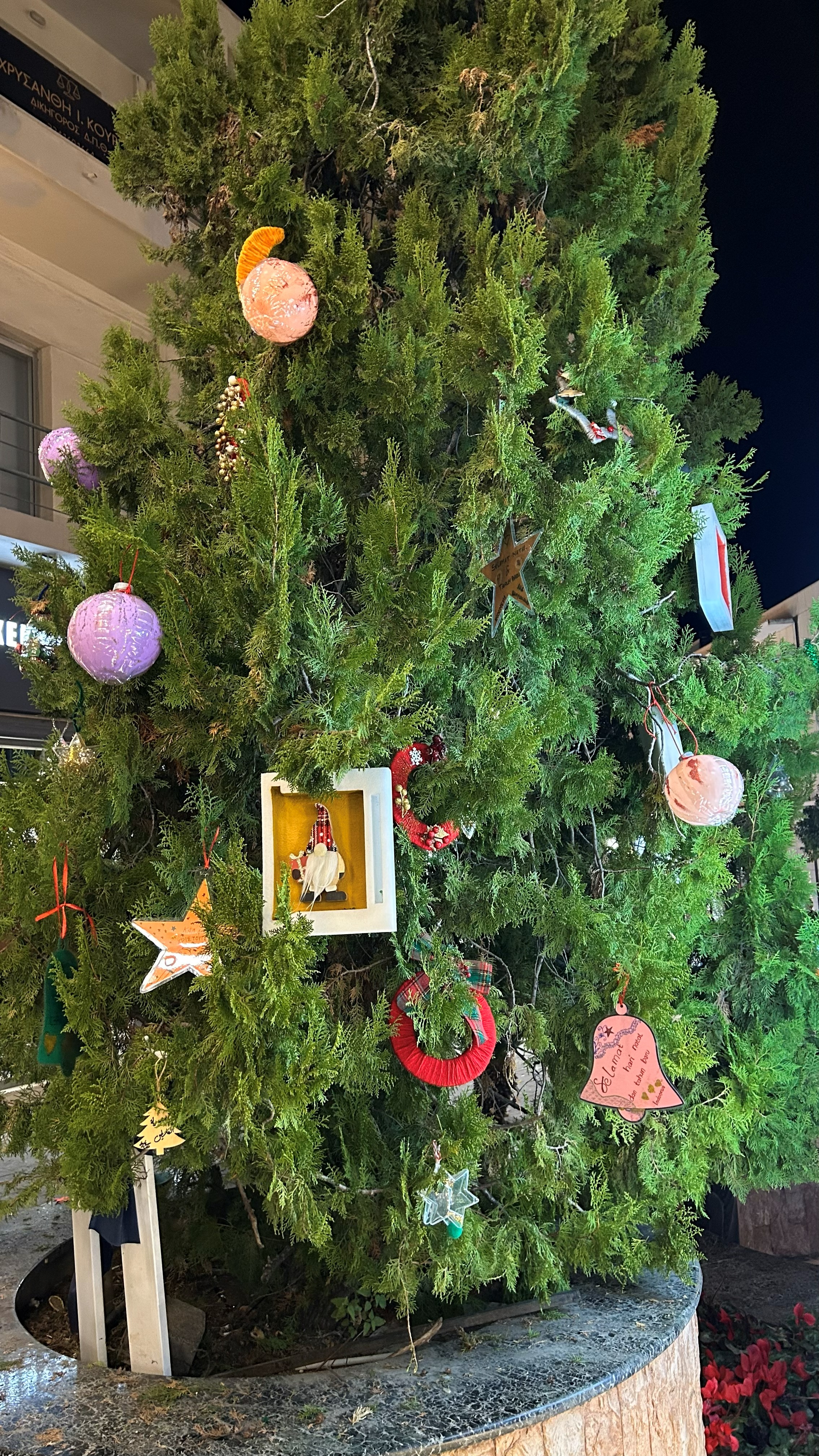 Εικόνα που περιέχει δέντρο, χριστουγεννιάτικο δέντρο, Χριστούγεννα, χριστουγεννιάτικη διακόσμηση Το περιεχόμενο που δημιουργείται από AI ενδέχεται να είναι εσφαλμένο.