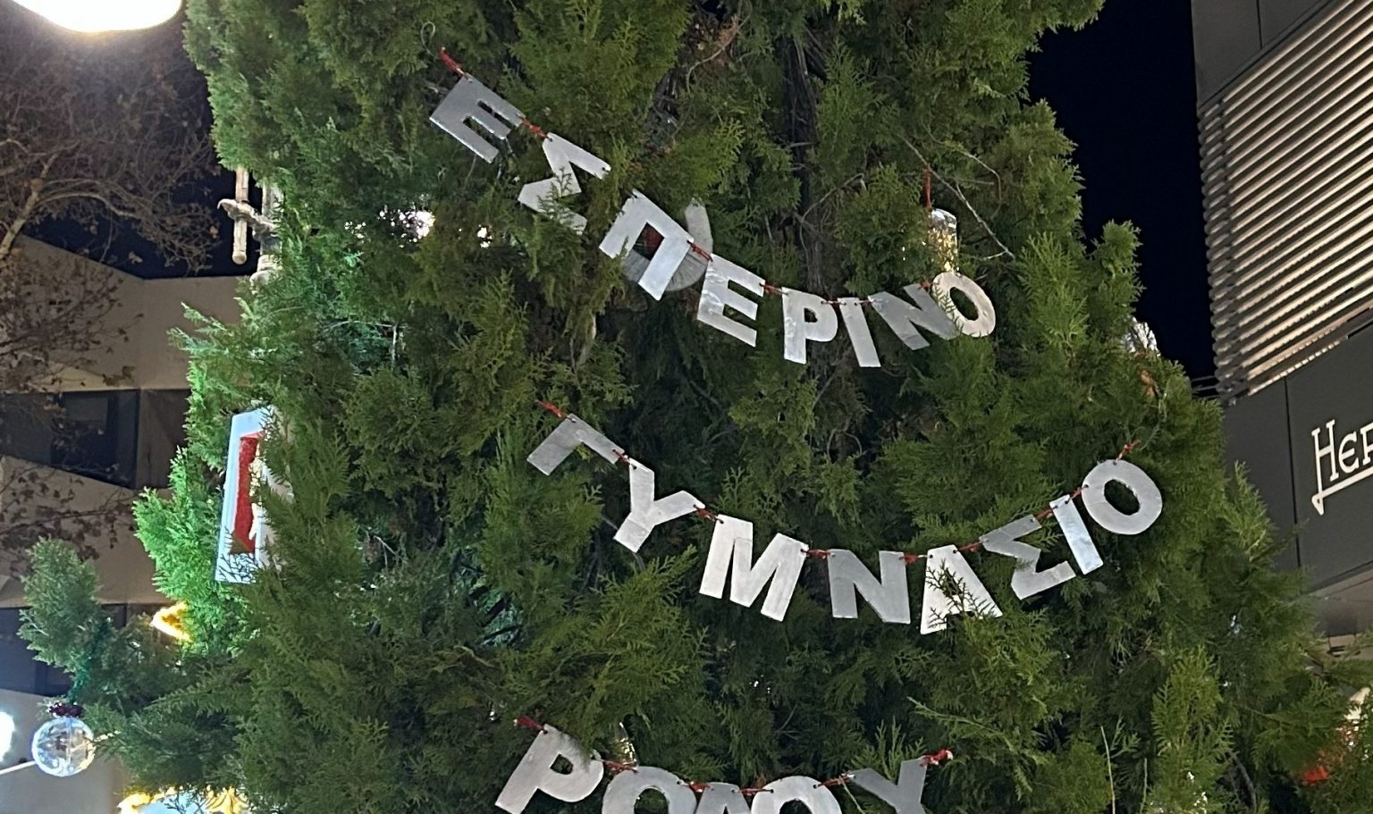 eikona-poy-periexei-xristoygenniatiko-dentro-ktir