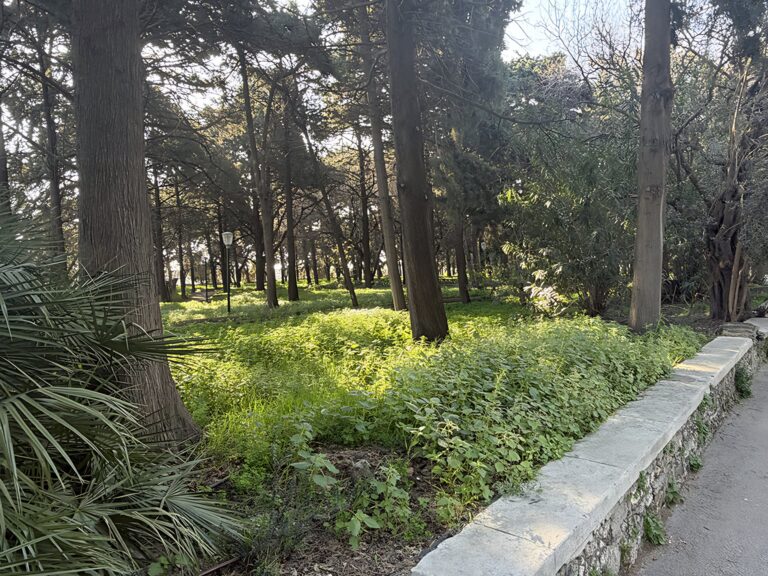 παρκα χορτα