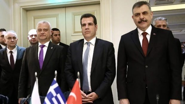 ΠΛΕΥΡΗΣ