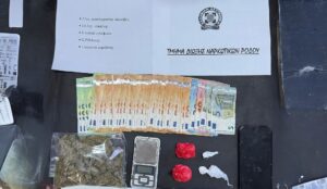 ΝΑΡΚΩΤΙΚΆ ΡΟΔΟΣ
