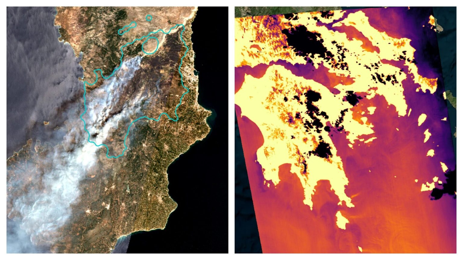 ΔΟΡΥΦΟΡΟΙ