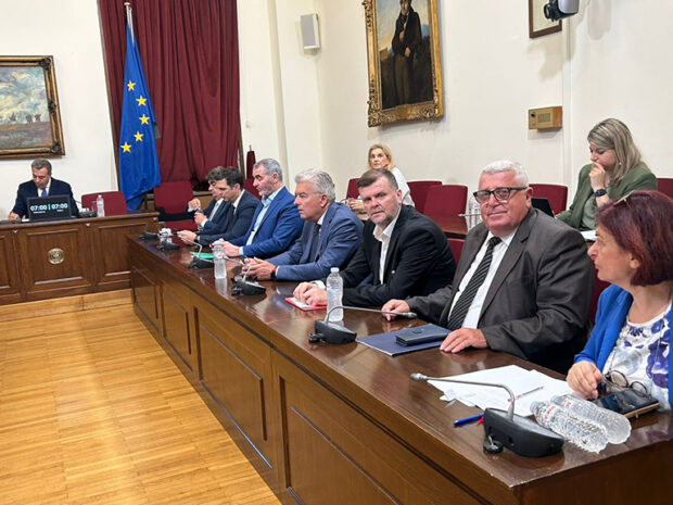 ΖΑΝΝΕΤΙΔΗΣ