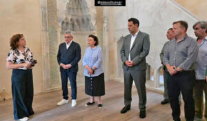 ΜΕΝΔΩΝΗ ΡΟΔΟΣ