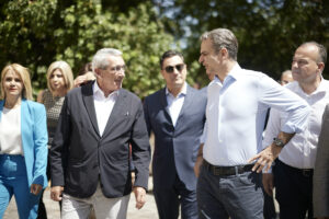 ΜΗΤΣΟΤΑΚΗΣ ΡΟΔΟΣ 6.2026