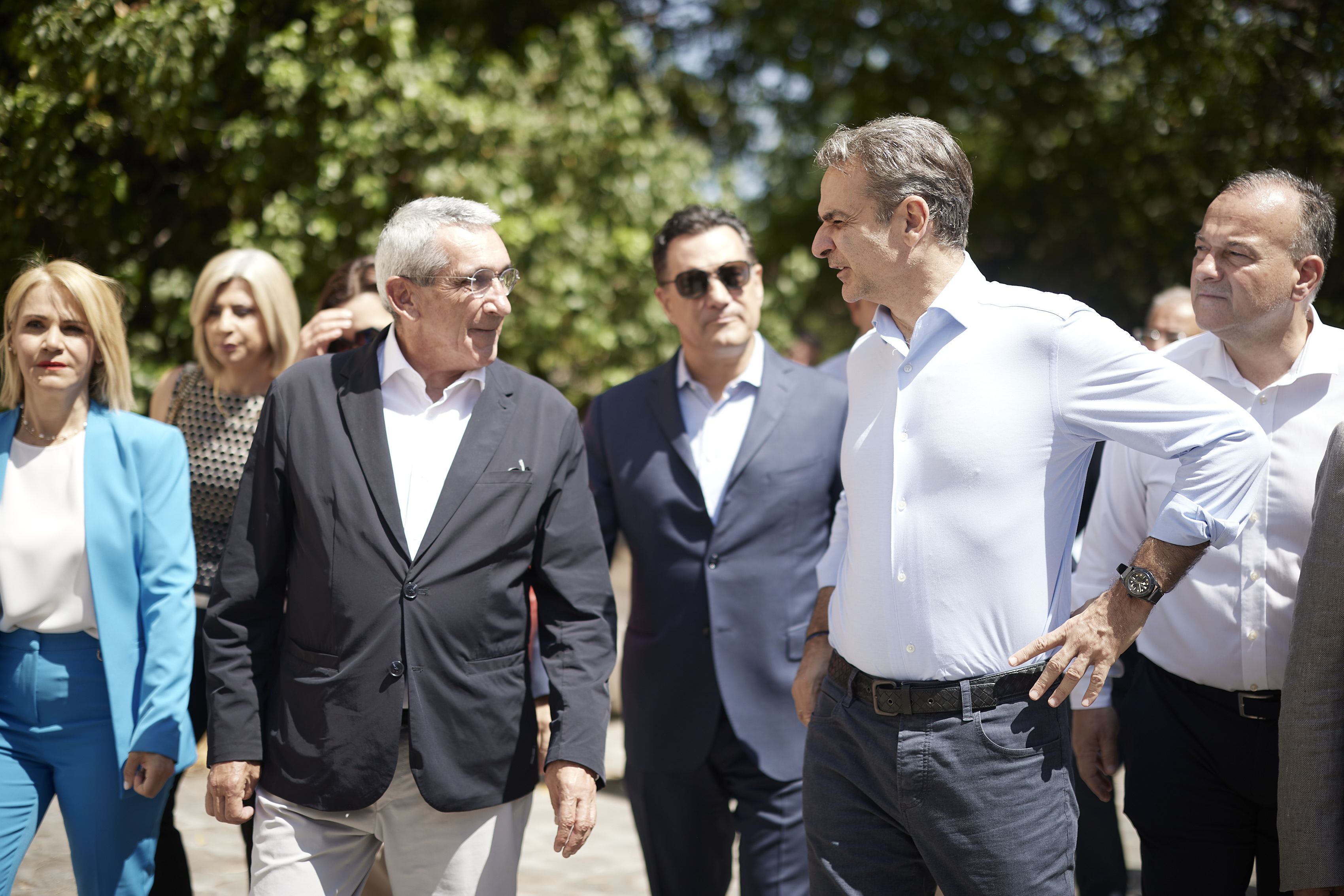 ΜΗΤΣΟΤΑΚΗΣ ΡΟΔΟΣ 6.2026
