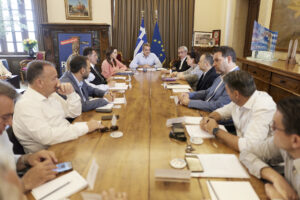ΜΗΤΣΟΤΑΚΗΣ ΡΟΔΟΣ 6.2026