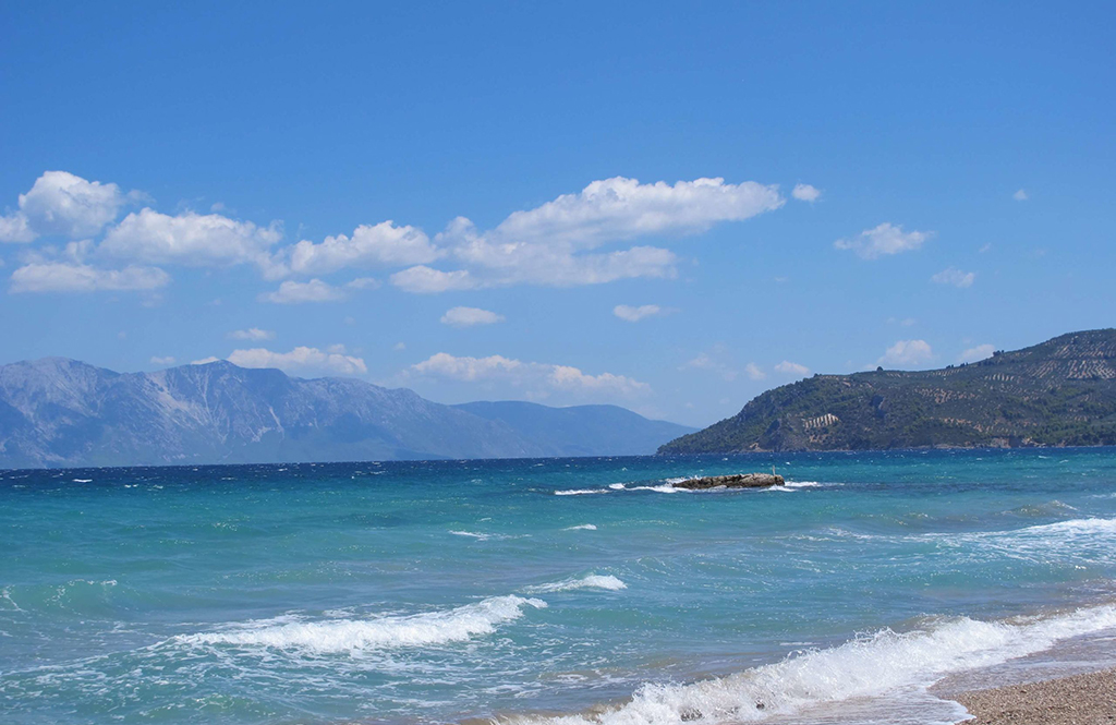 ΠΑΡΑΛΙΕΣ