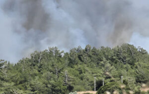 ΦΩΤΙΑ ΚΟΣΚΙΝΟΥ