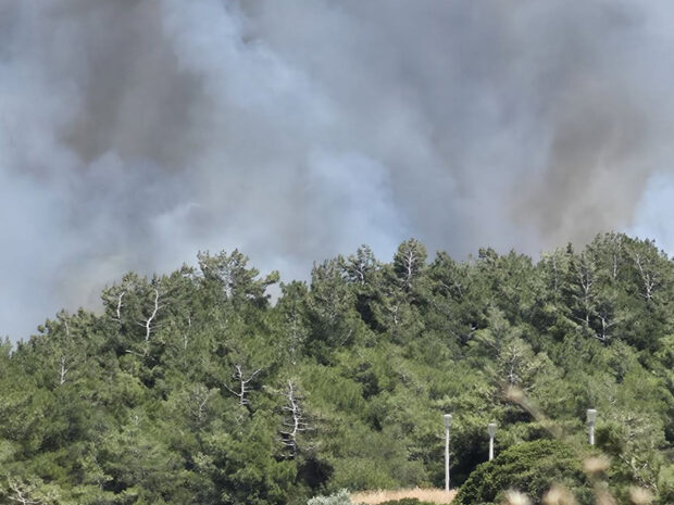 ΦΩΤΙΑ ΚΟΣΚΙΝΟΥ