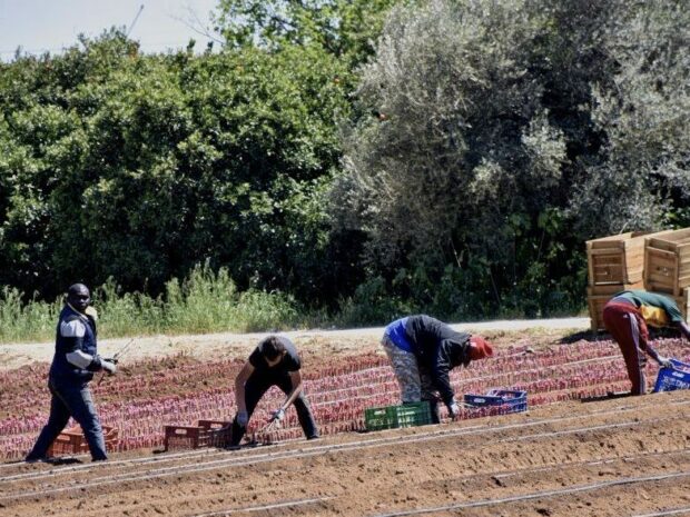 ΜΕΤΑΚΛΗΤΟΙ