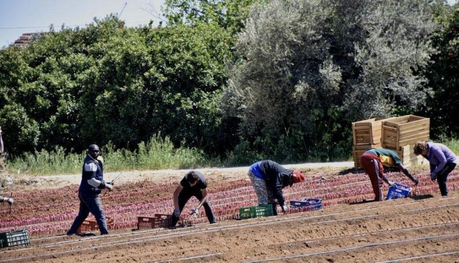 ΜΕΤΑΚΛΗΤΟΙ