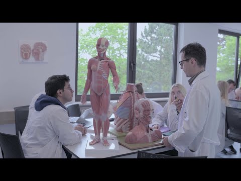 School of Medicine - Nicosia & Frankfurt - European University Cyprus