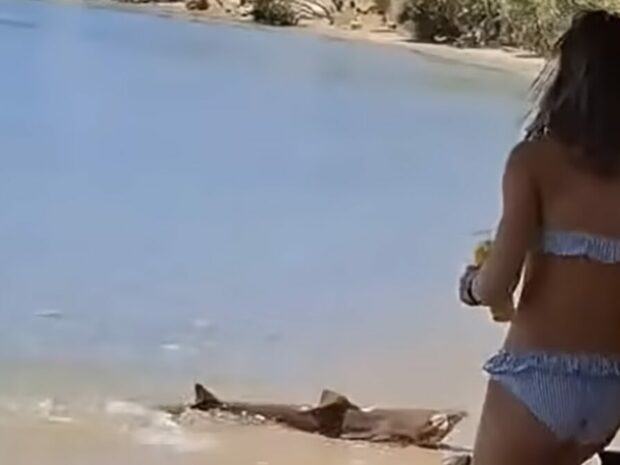 ΚΑΡΧΑΡΙΑΣ ΛΕΙΨΟΙ